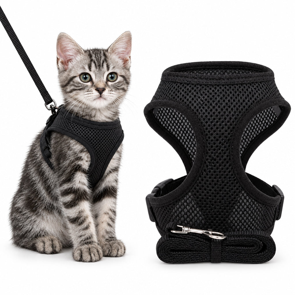 Black breathable mesh cat harness with matching leash shown on a kitten for comfortable outdoor walks and training