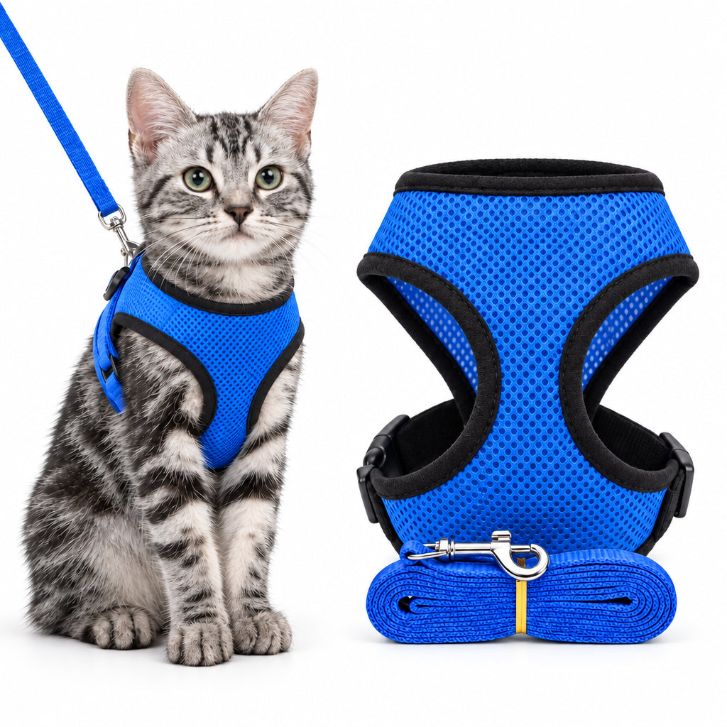 Blue breathable mesh cat harness with matching leash shown on a kitten for comfortable outdoor walks and training