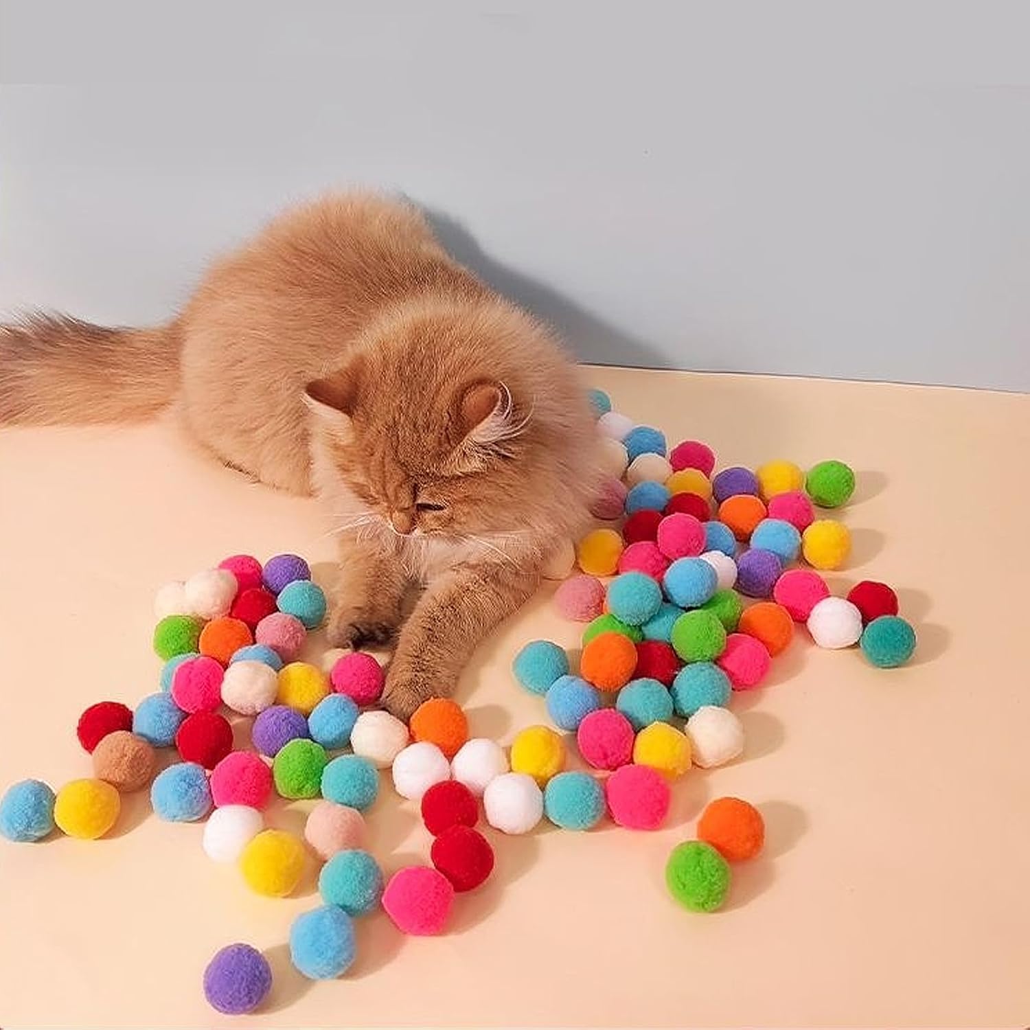 Colorful soft pom pom balls scattered around a cat for interactive indoor play and enrichment
