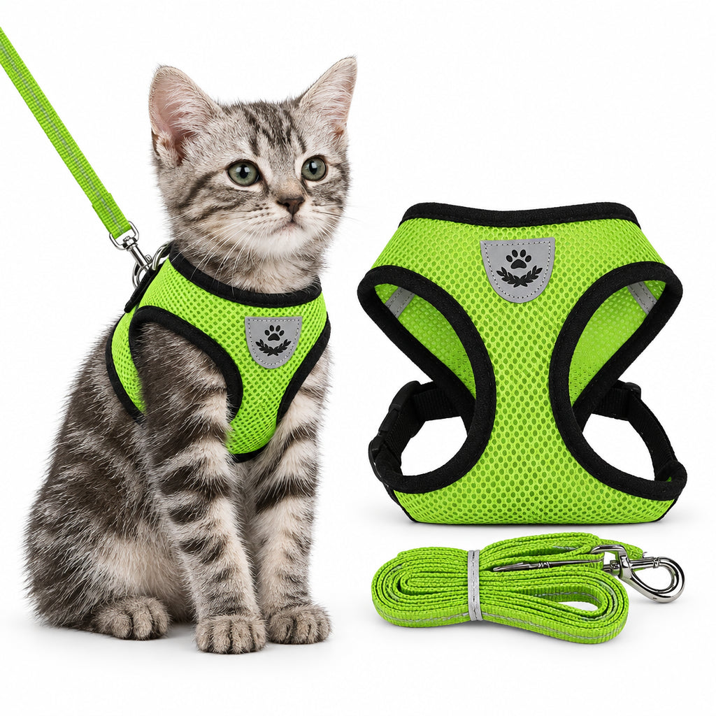 Green breathable mesh cat harness with matching leash shown on a kitten for comfortable outdoor walks and training