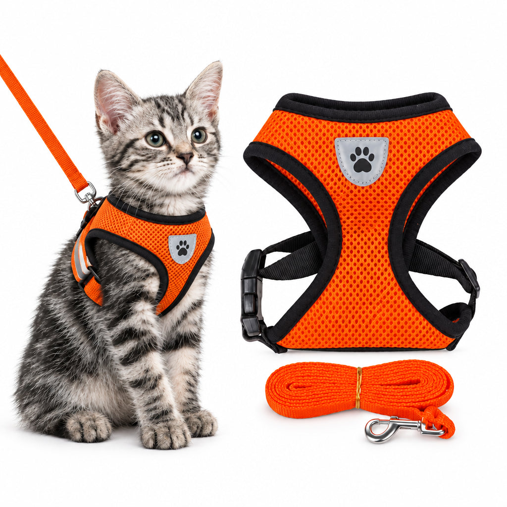 Orange breathable mesh cat harness with matching leash shown on a kitten for comfortable outdoor walks and training
