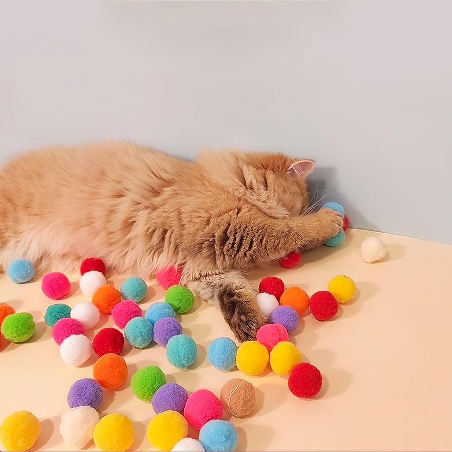 Colorful soft pom pom balls scattered around a cat for interactive indoor play and enrichment