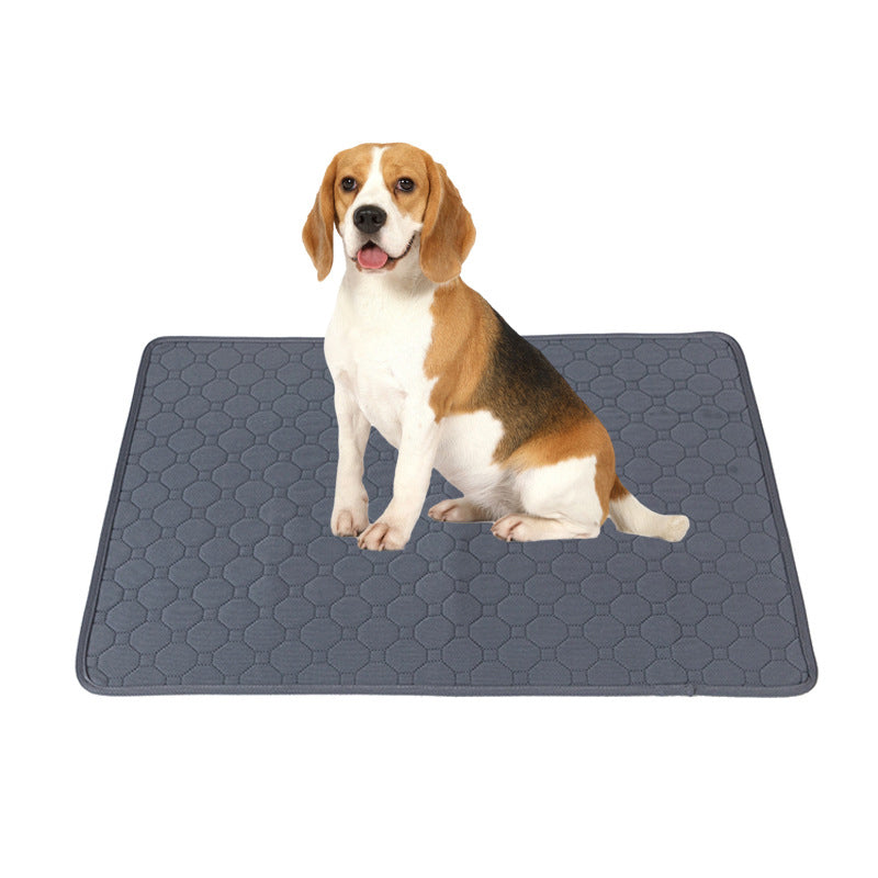 Washable reusable dog training pee pad with a waterproof surface for indoor puppy and dog potty training