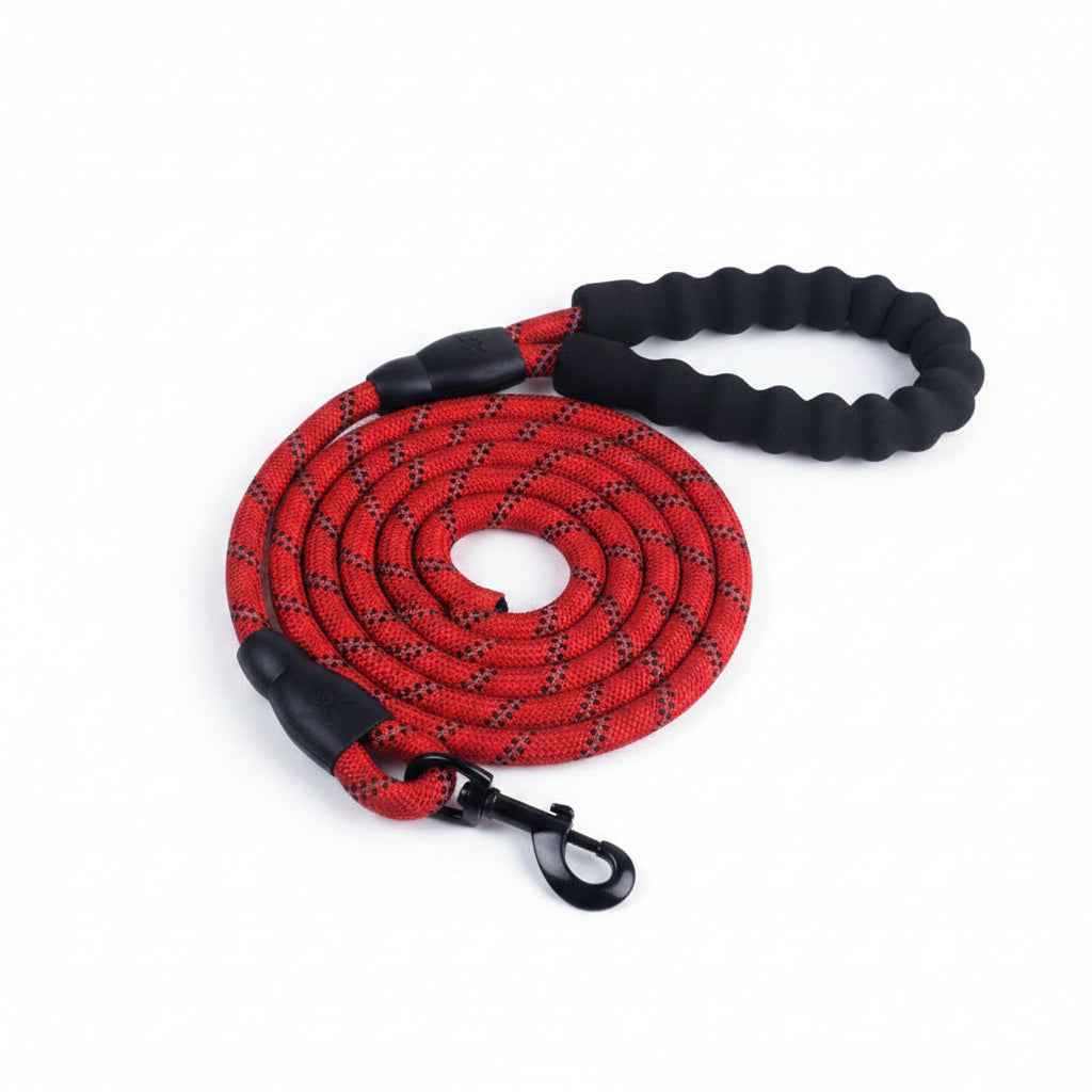 Reflective Dog Leash with Soft Grip Handle for Walking & Training