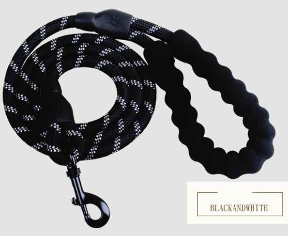 Reflective Dog Leash with Soft Grip Handle for Walking & Training