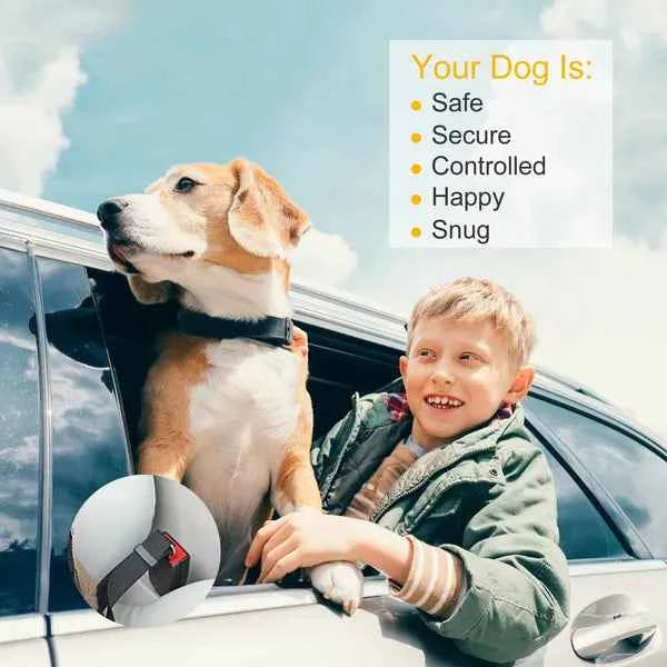 2-Pack Dog Car Seat Belt – Adjustable Pet Safety Leash for Cars