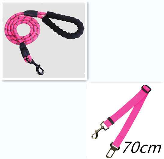 Reflective Dog Leash with Soft Grip Handle for Walking & Training
