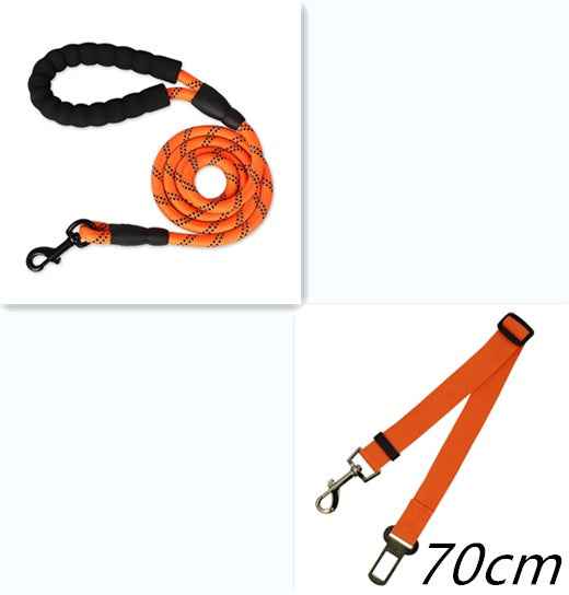 Reflective Dog Leash with Soft Grip Handle for Walking & Training